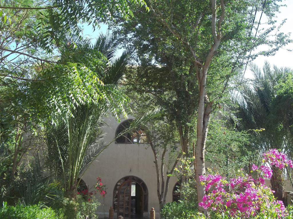 Nour El Balad Hotel Luxor Exterior photo